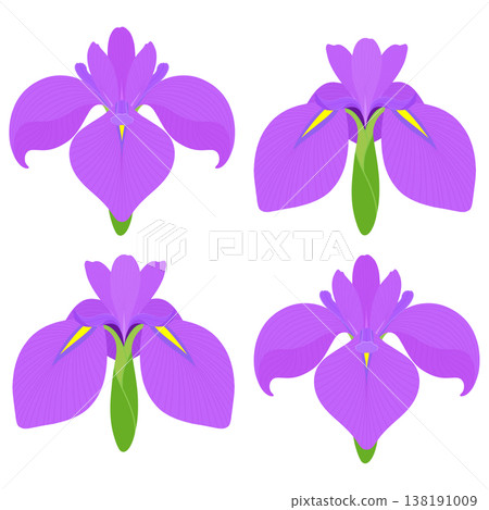 Simple irises illustration 138191009