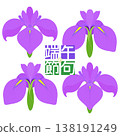 Simple irises illustration 138191249