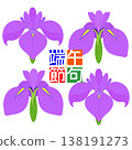 Simple irises illustration 138191273