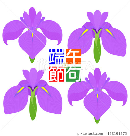 Simple irises illustration 138191273