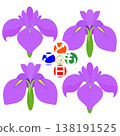 Simple irises illustration 138191525