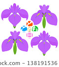 Simple irises illustration 138191536