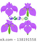 Simple irises illustration 138191558