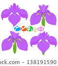 Simple irises illustration 138191590