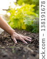 A farmer's hands are seen checking the soil condition in a field where green vegetables are growing. 138191678