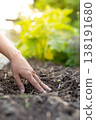 The hands touching the soil with fingertips, imagining soil diagnosis and environmental conservation. 138191680
