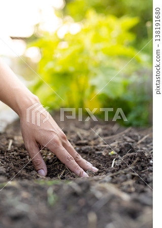 The hands touching the soil with fingertips, imagining soil diagnosis and environmental conservation. The hands touching the soil with fingertips, imagining soil diagnosis and environmental conservation. 138191680