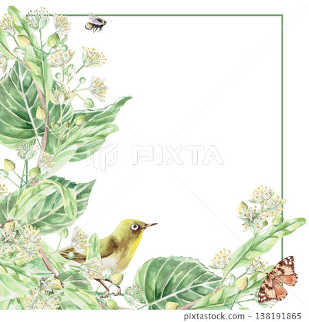 A square frame with blossoming linden branches, a bird, a bee, and a butterfly. Isolated watercolor illustration for pharmaceuticals, organic food and beverages, and health and wellness products. 138191865