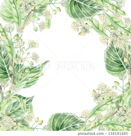 A square frame with blossoming linden branches. Isolated watercolor illustration for pharmaceutical, cosmetic, organic, and beverage products, food, and health products. A square frame with blossoming linden branches. Isolated watercolor illustration for pharmaceutical, cosmetic, organic, and beverage products, food, and health products. 138191885