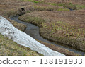自然景觀：河流和雪 138191933