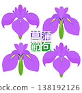 Simple irises illustration 138192126