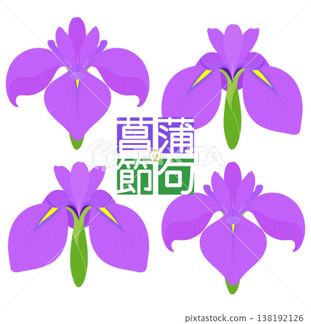 Simple irises illustration Simple irises illustration 138192126