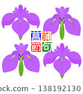 Simple irises illustration 138192130