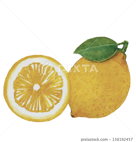 Lemon Watercolor Fresh Citrus Fruit Illustration Isolated Lemon Watercolor Fresh Citrus Fruit Illustration Isolated 138192457