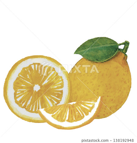 Lemon Slices Watercolor Fresh Citrus Fruit Composition 138192948