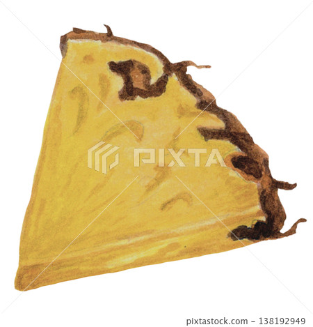 Pineapple Slice Watercolor Fresh Tropical Fruit Illustration 138192949