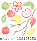 A set of apples and leaves. A typical illustration isolated on a white background. Bright fruits for food and agriculture-themed designs, posters, and summer events. 138193252