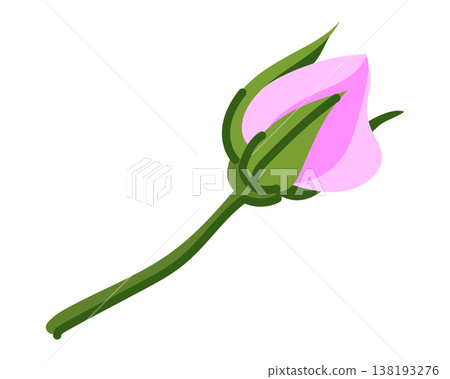 Vector illustration of a pink rosebud in a flat style. An ingredient in Mei Gai Hua Cha flower tea, popular in China. The Damask rose is used in traditional beverages in the Indian state of Kashmir. 138193276