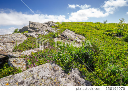 sunny mountain landscape in summer under blue sky. lush green grass and sharp rocks on steep hillside. beautiful view of remote place in carpathian alpine environment 138194070