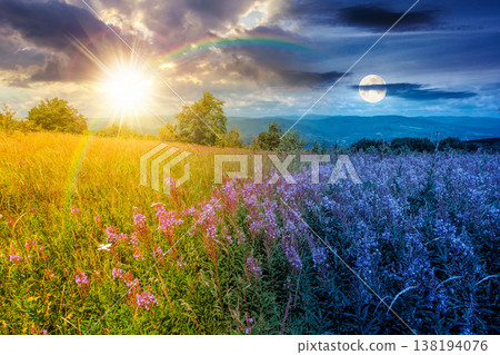 landscape with high grass and blooming pink flowers on top of a mountain. day meet night. willow herb on alpine meadow. sun and moon over trees near the edge of high mountain. epic alpine environment 138194076