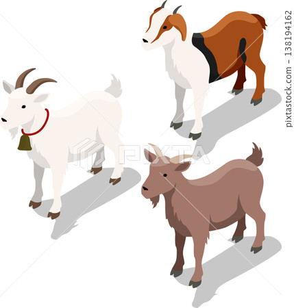 Isometric farm goat livestock illustration Isometric farm goat livestock illustration 138194162