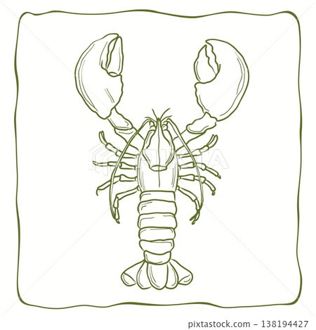 Hand-drawn outline of a single crayfish, detailed line art illustration 138194427