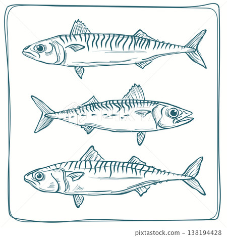 Three hand-drawn fish in outline style, simple and playful illustration 138194428