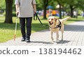 A visually impaired person spending time with their guide dog in a park. A visually impaired person spending time with their guide dog in a park. 138194462