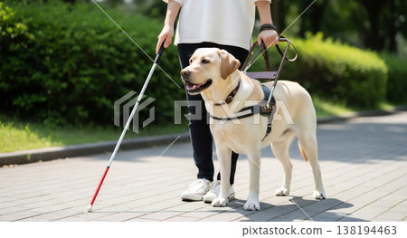 A visually impaired person spending time with their guide dog in a park. A visually impaired person spending time with their guide dog in a park. 138194463