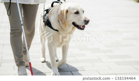 A visually impaired person spending time with their guide dog in a park. A visually impaired person spending time with their guide dog in a park. 138194464