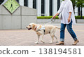 Guide dogs and the lives of visually impaired people Guide dogs and the lives of visually impaired people 138194581