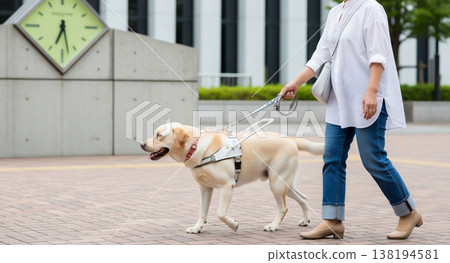 Guide dogs and the lives of visually impaired people Guide dogs and the lives of visually impaired people 138194581