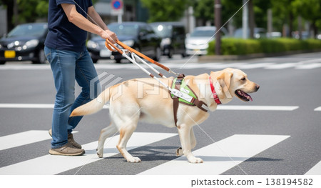 Guide dogs and the lives of visually impaired people Guide dogs and the lives of visually impaired people 138194582
