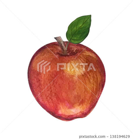 apple watercolor apple watercolor 138194629