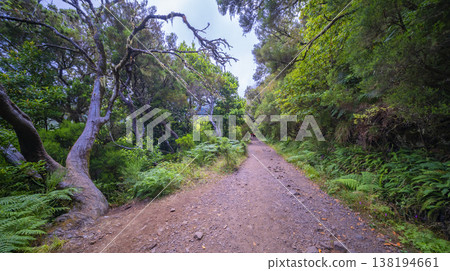 Levada do Risco, Madeira, Portugal 138194661
