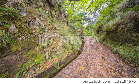 Vereda dos Balcoes PR11 Mountain Footpath, Madeira, Portugal Vereda dos Balcoes PR11 Mountain Footpath, Madeira, Portugal 138194670