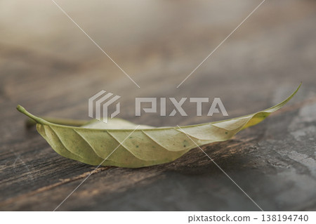 dry leaves on a wooden table 138194740
