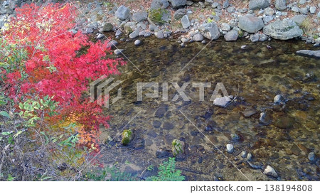 室呂川的流水和秋葉 室呂川的流水和秋葉 138194808