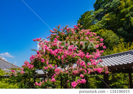 [Kyoto Scenery] Nanzenji Temple (3) The Six Realms Garden that conveys the warning of reincarnation 138196055