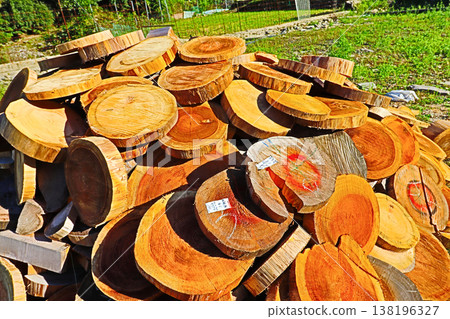 A scene of a rural landscape where trees have been cut into slices and piled up. 138196327