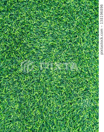 Textured surface of artificial grass 138196896
