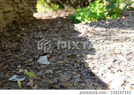 Discarded plastic cup littering forest ground causing pollution Discarded plastic cup littering forest ground causing pollution 138197143