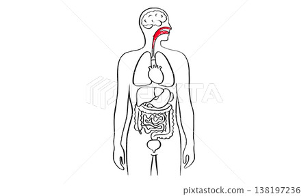 Throat inflammation pain 138197236