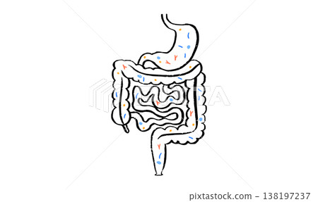 Gut Brain Connection 138197237