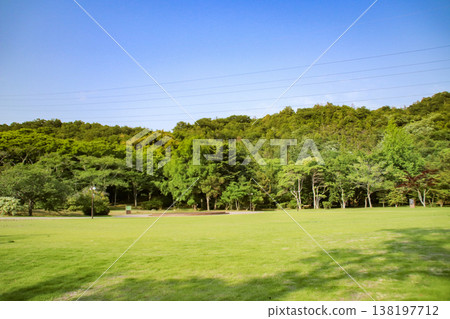 Omi Fuji Flower and Green Park / Mikami, Yasu City, Shiga Prefecture 138197712