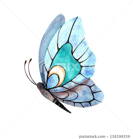 Blue butterfly with folded wings. Hand-drawn watercolor insect. Botanical and wedding illustration. Design elements for birthdays, parties, invitations, and cards. Spring and summer designs. 138199359