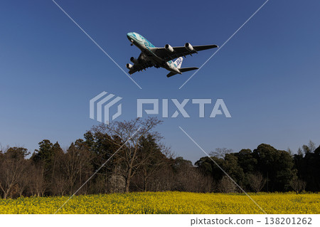 一片油菜花田和一架空中巴士A380 一片油菜花田和一架空中巴士A380 138201262