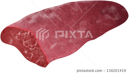 meat, pork, beef 138201419