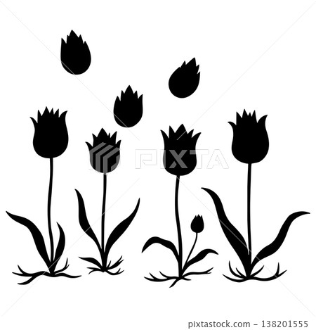 Collection of decorative tulip flowers with falling petals vector illustration black silhouettes Collection of decorative tulip flowers with falling petals vector illustration black silhouettes 138201555