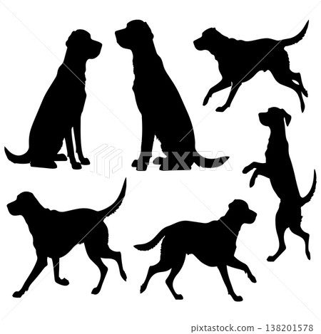 Dog silhouettes collection diverse poses outdoor activities graphic illustration 138201578